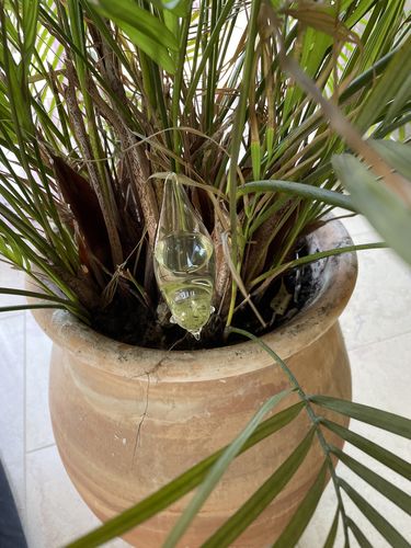 Customer photo review of Mon petit oiseau - Le Jardin de Mamie®
