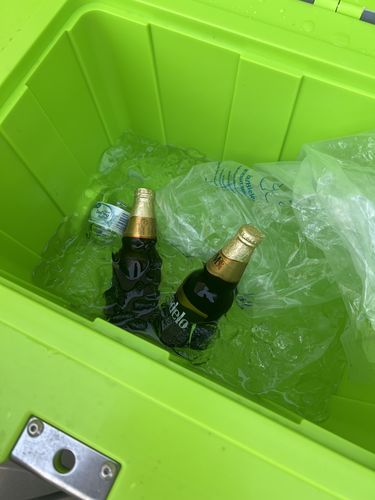 Customer photo review of Pelican 30QT Elite Cooler