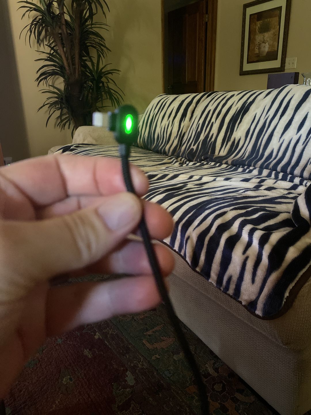 Customer photo review of The Titan Smart Cable™
