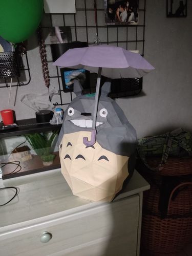 Customer photo review of Patrons Totoro (pdf)