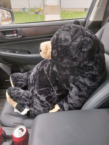 Customer photo review of SKOGGY BEAR
