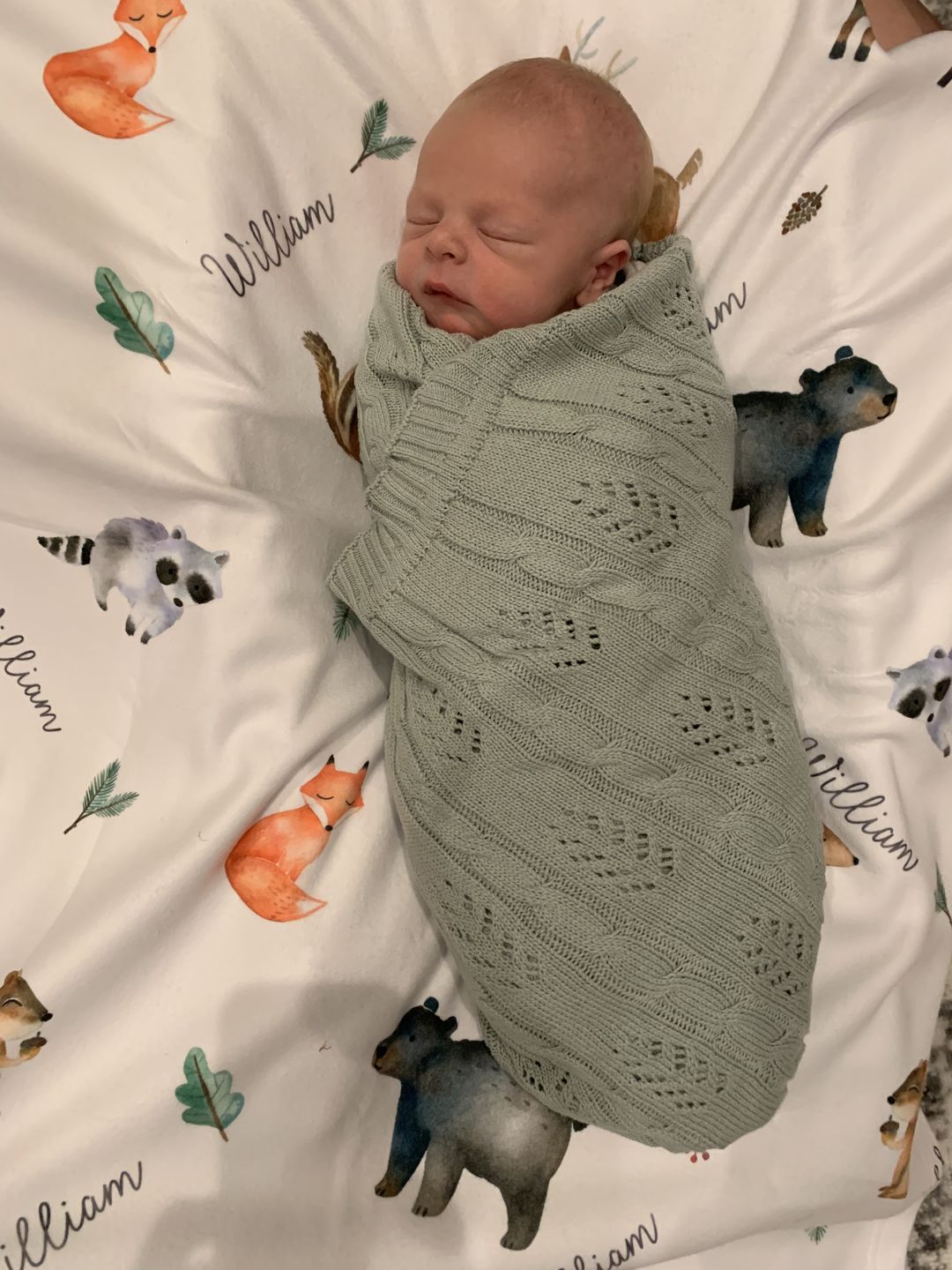 Customer photo review of Woodland Animals Personalized Baby Blanket