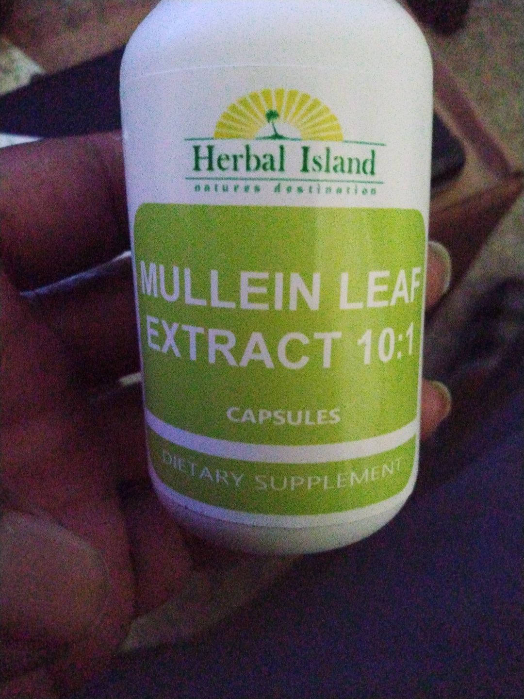 Customer photo review of Mullein Leaf Capsule (Lung Detox Mucus)