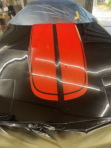 Customer photo review of Chevrolet C4 Corvette 1984-1996 sport front hood pre-cut decal set