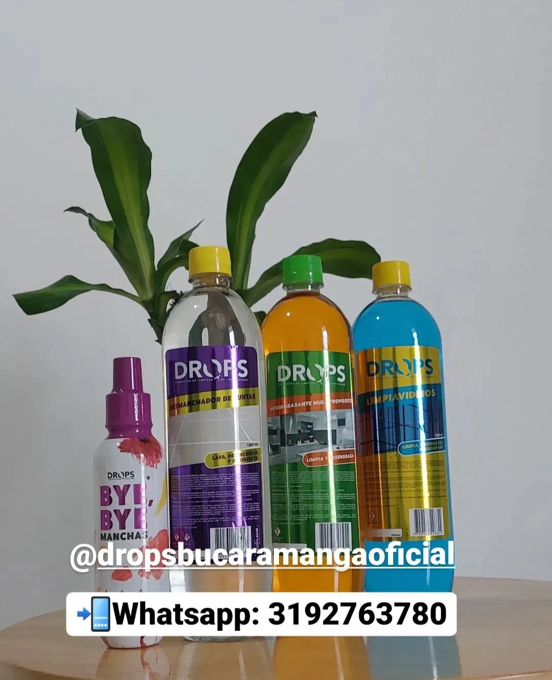 Customer photo review of Desengrasante Multipropósito 1000 ml