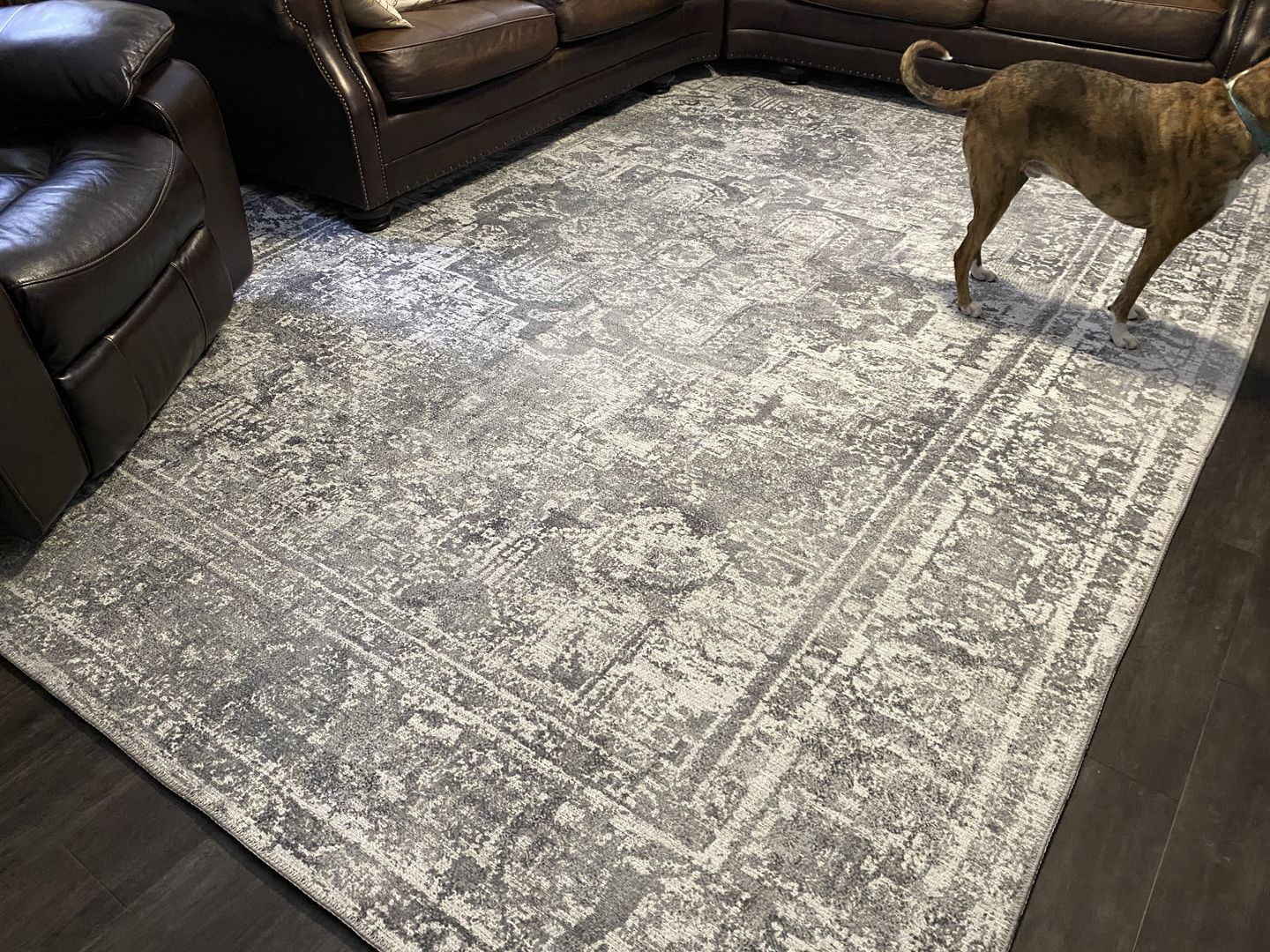 Customer photo review of Distressed Vintage Chilaz Grey Rug