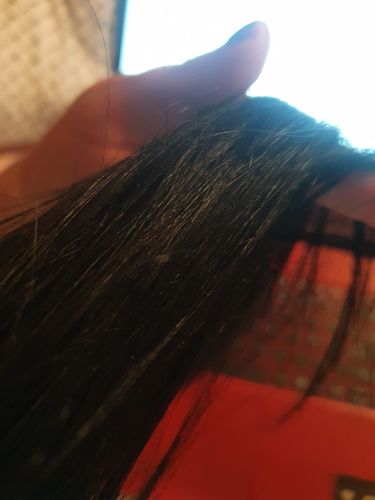 Customer photo review of SEA HAIR CORAL 100 ML