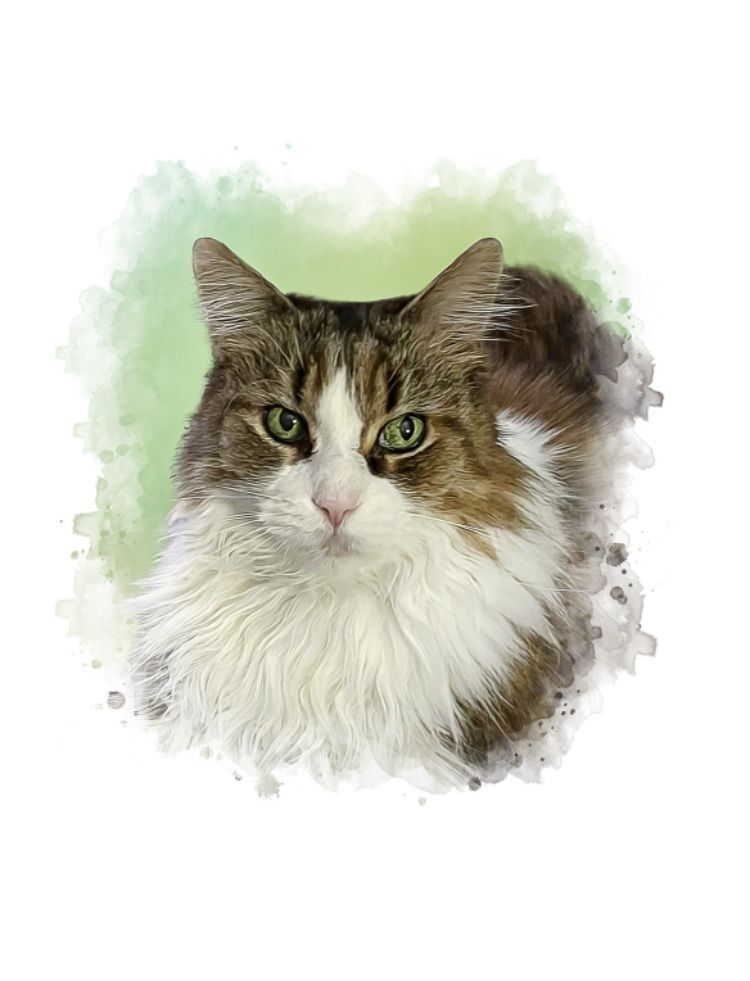 Customer photo review of Portrait deines Tieres im Wasserfarben-Stil