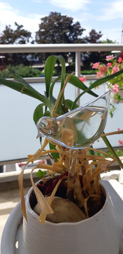Customer photo review of Mon petit oiseau - Le Jardin de Mamie®