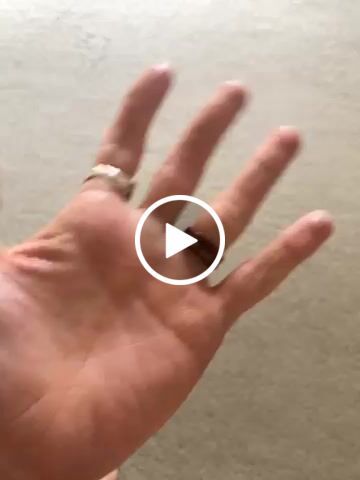 Customer video review of The Timber
