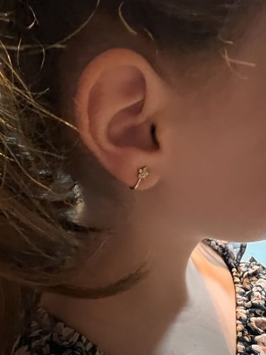 Customer photo review of PACK NATURE : 4 faux piercings