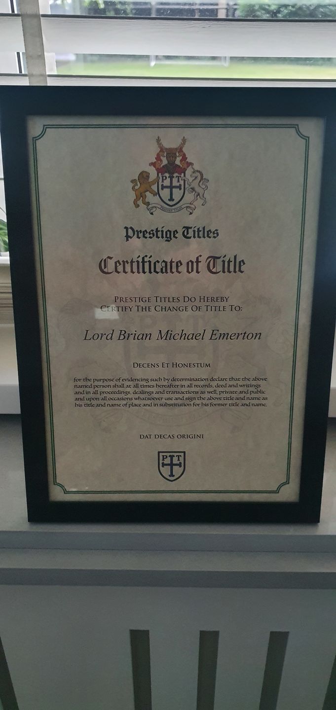 Customer photo review of Frame your certificate