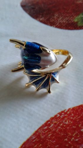 Customer photo review of Ring des Schutzdrachens