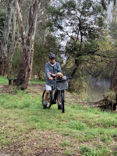 Customer photo review of All In One Pet Carrier Bag | Dog Bike Basket | Backpack for Dogs & Cats | Car Booster Seat
