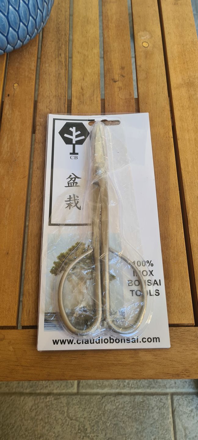 Customer photo review of FORBICI LUNGHE POTATURA RAMI ACCIAIO INOX 21 cm