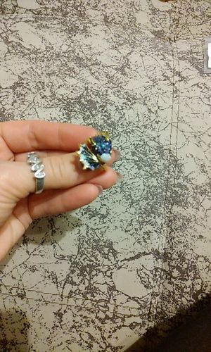 Customer photo review of Ring des Schutzdrachens