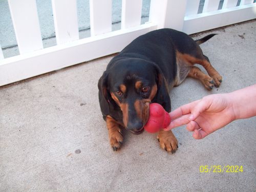 Customer photo review of Your Advanced Custom Diamond Painting Kit - Premium Quality