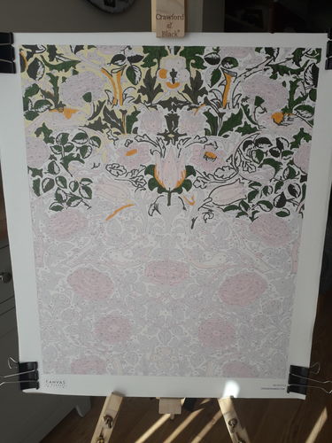 Customer photo review of Rose - William Morris