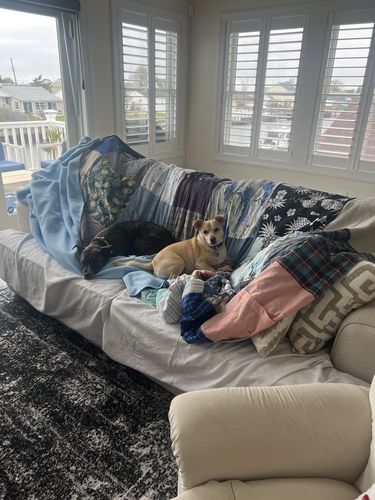 Customer photo review of Classic T-Shirt Blanket