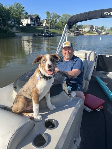 Customer photo review of Fetch