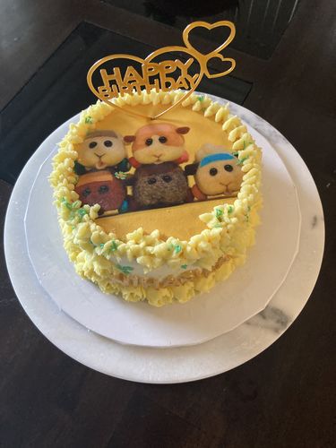 Customer photo review of 15 cm Round Custom Edible Icing Image