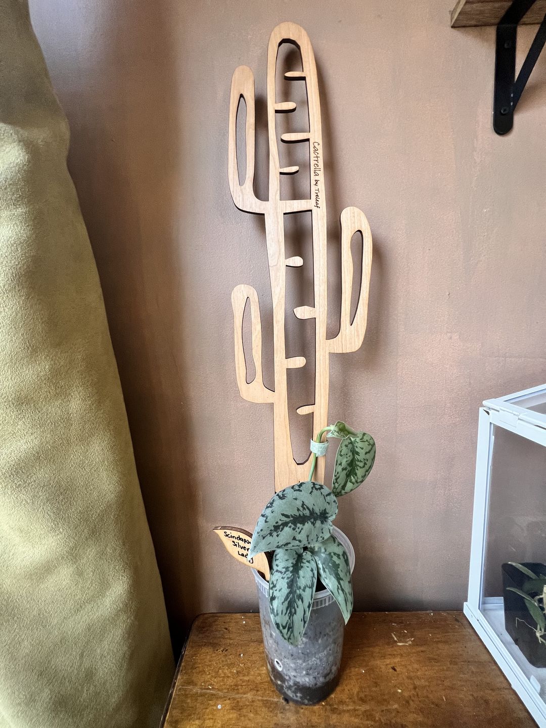 Customer photo review of Cactrella - Plant trellis inspired by the Barrel Cactus