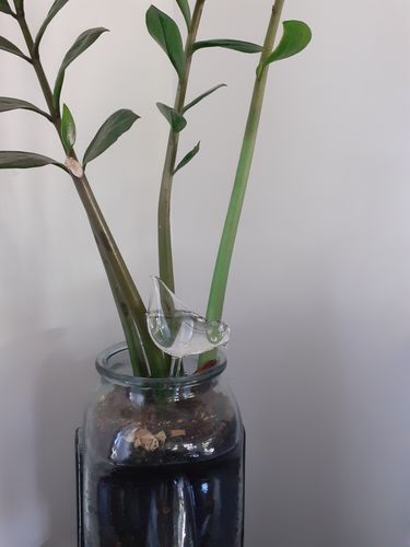 Customer photo review of Mon petit oiseau - Le Jardin de Mamie®