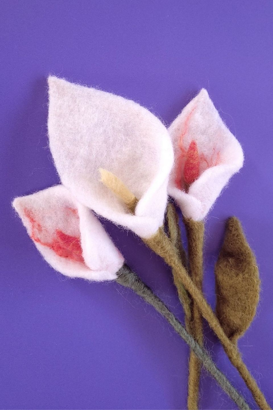 Customer photo review of Periwinkle