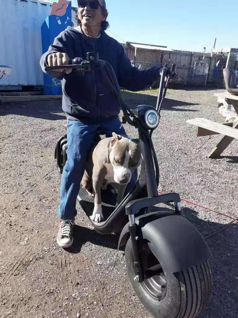 Customer photo review of SoverSky X7 Fat Tire Lithium Scooter Citycoco