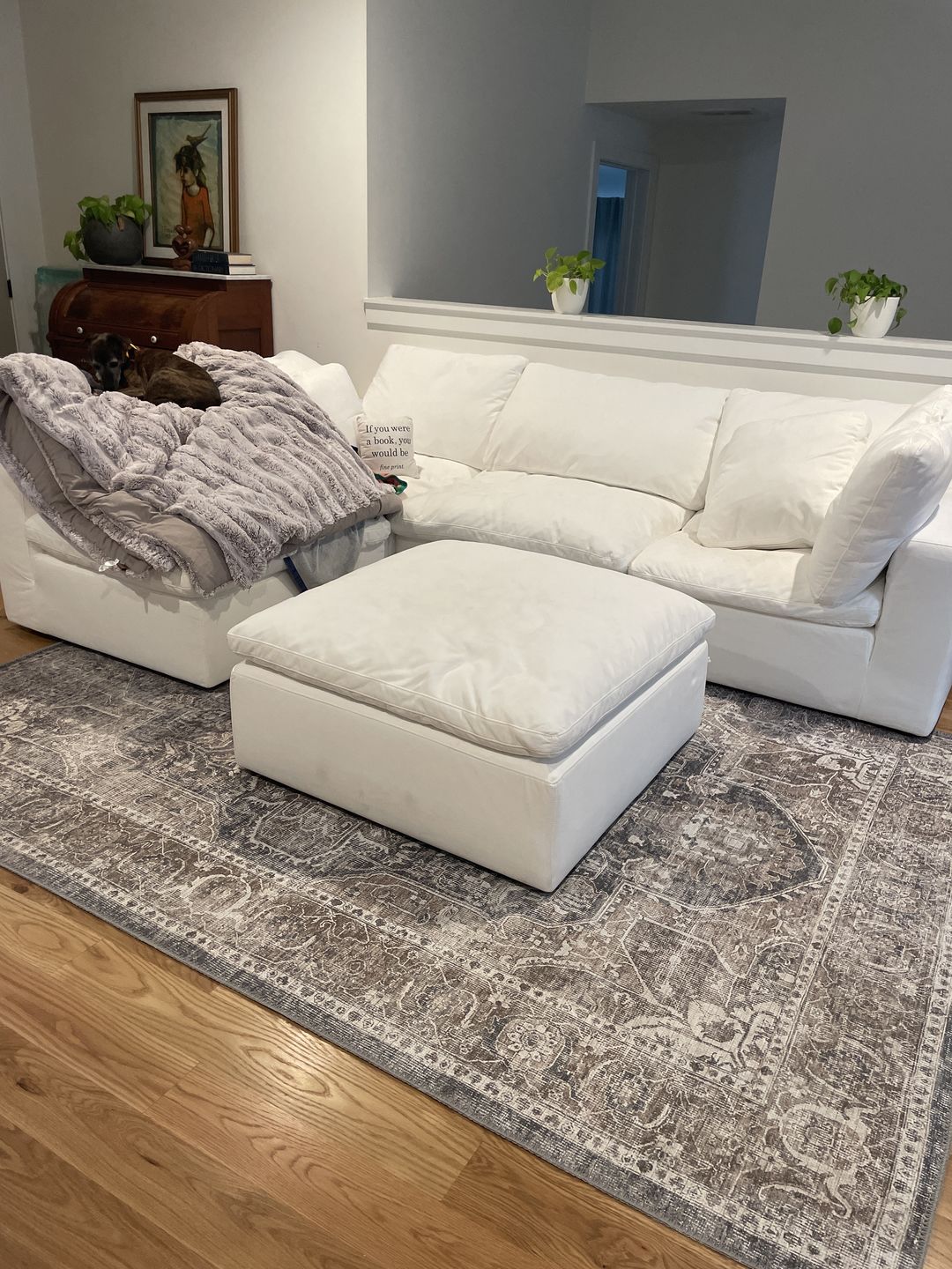 Customer photo review of Distressed Vintage Kendra Ash Area Rug