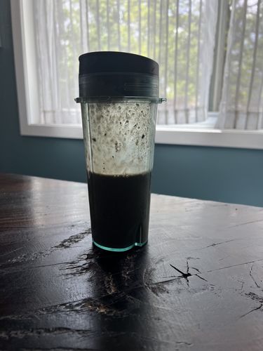 Customer photo review of Best Greens Powder for Pregnancy