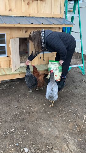 Customer photo review of GrubTerra Dried Larvae