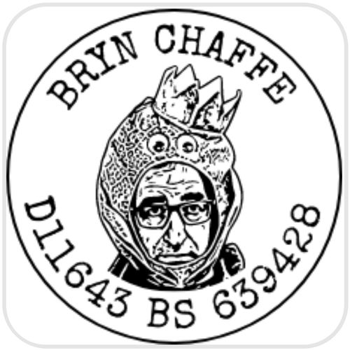 Customer photo review of Self-Inking Face Stamp