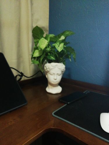 Customer photo review of Doncella con Punta de Flecha