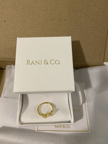 Customer photo review of Moonstone Crown Ring (Gold)