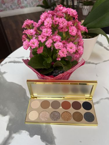 Customer photo review of The Signature Eyeshadow Palette