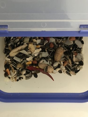 Seedzbox Ultimate Deluxe Parrot papegaaienvoer 1,8 kg zaden