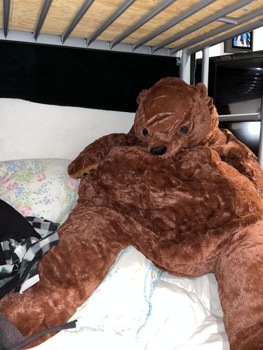 Customer photo review of SKOGGY BEAR