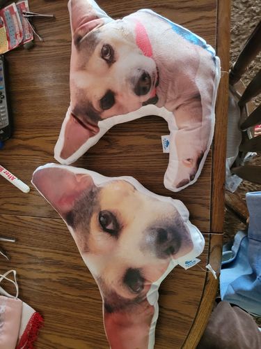 Customer photo review of Create A Custom Dog Pillow