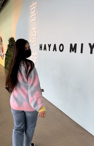 Customer photo review of Howl's Moving Cardigan