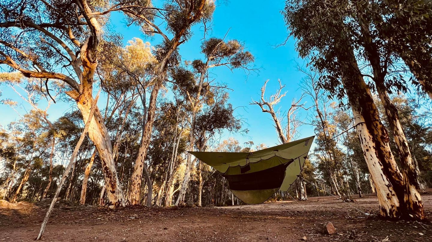 Customer photo review of Insulated Hammock Set