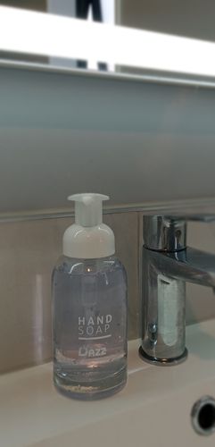 Customer photo review of Dazz Eco Home Cleaning Kit