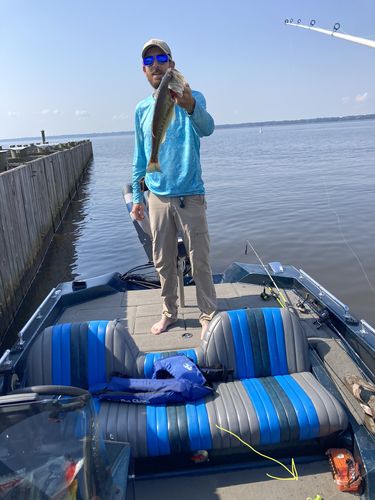 Customer photo review of Headbanger BangerRibs