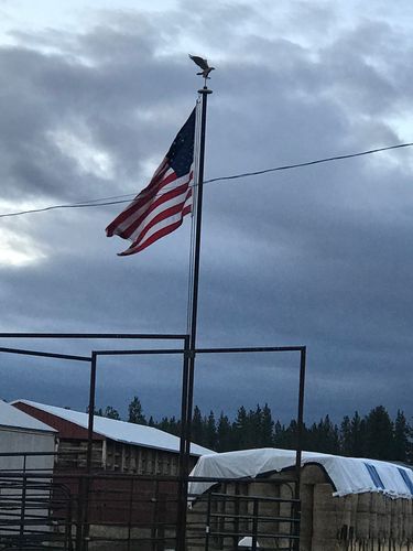 Customer photo review of 16 in. Gold Anodized Eagle Ornament for Outdoor Flagpoles