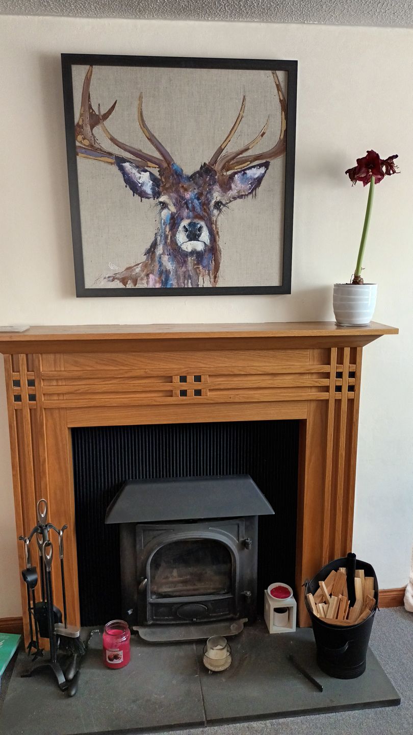 Customer photo review of Majesty By Louise Luton Framed Canvas