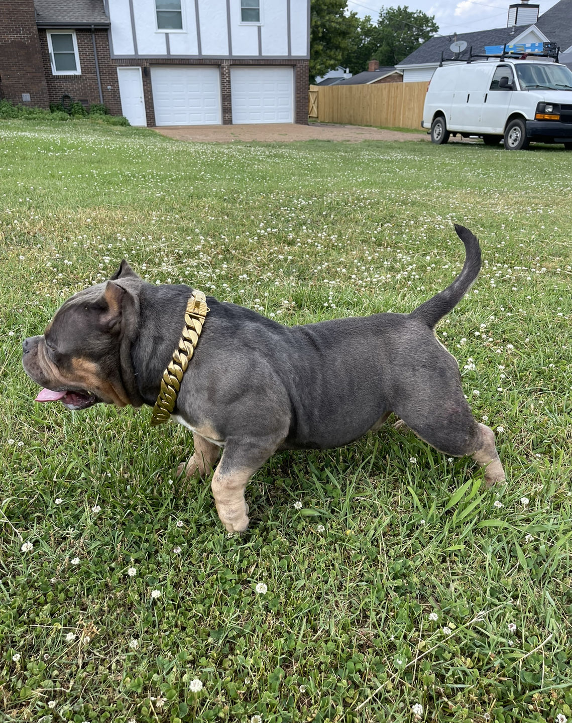 Customer photo review of THE KILO