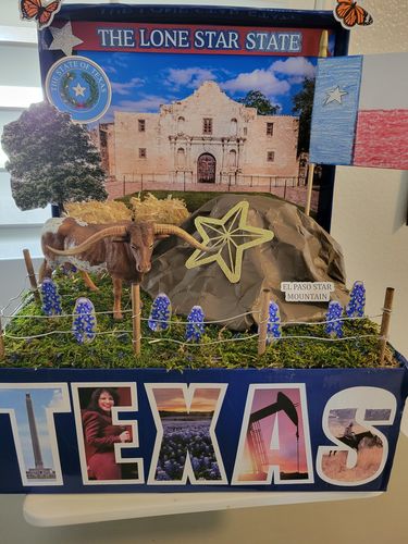 Customer photo review of Breyer Collecta Texas LongHorn