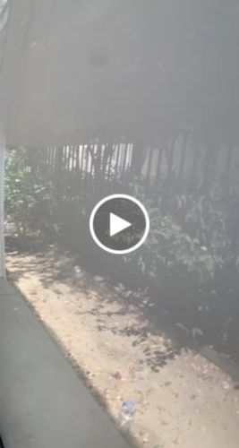 Customer video review of Super Mystery SudzBox (04/21/2022)