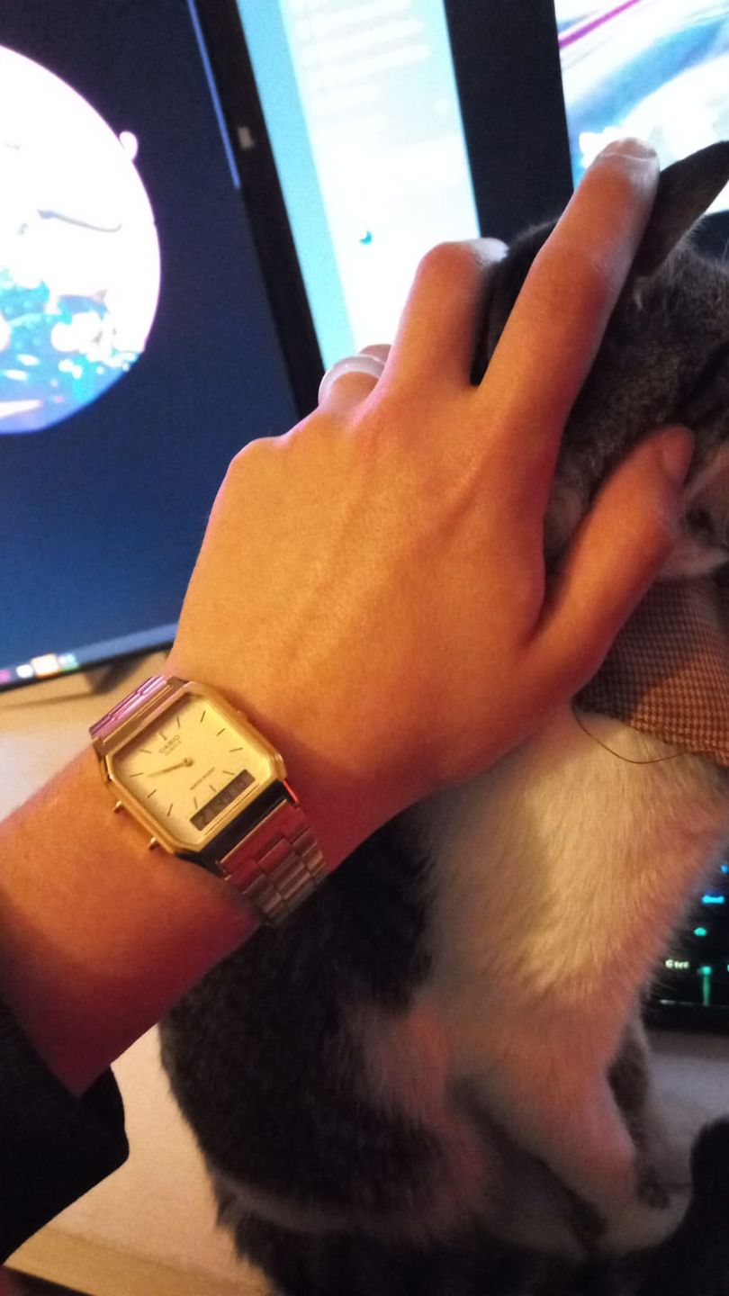 Customer photo review of Reloj Casio Vintage AQ-230GA-9DMQ Dorado