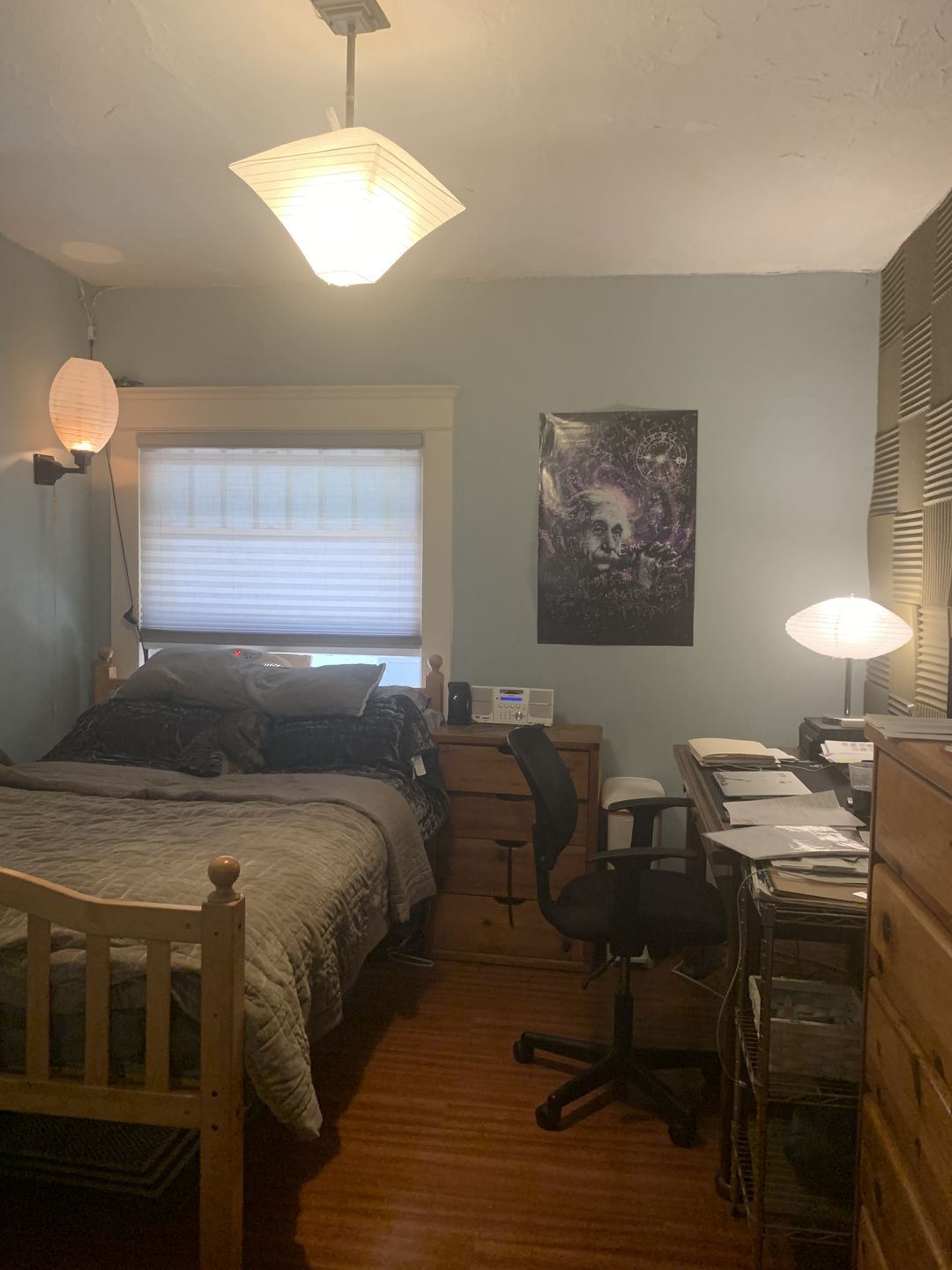 Customer photo review of 16" White Saturn Paper Lantern